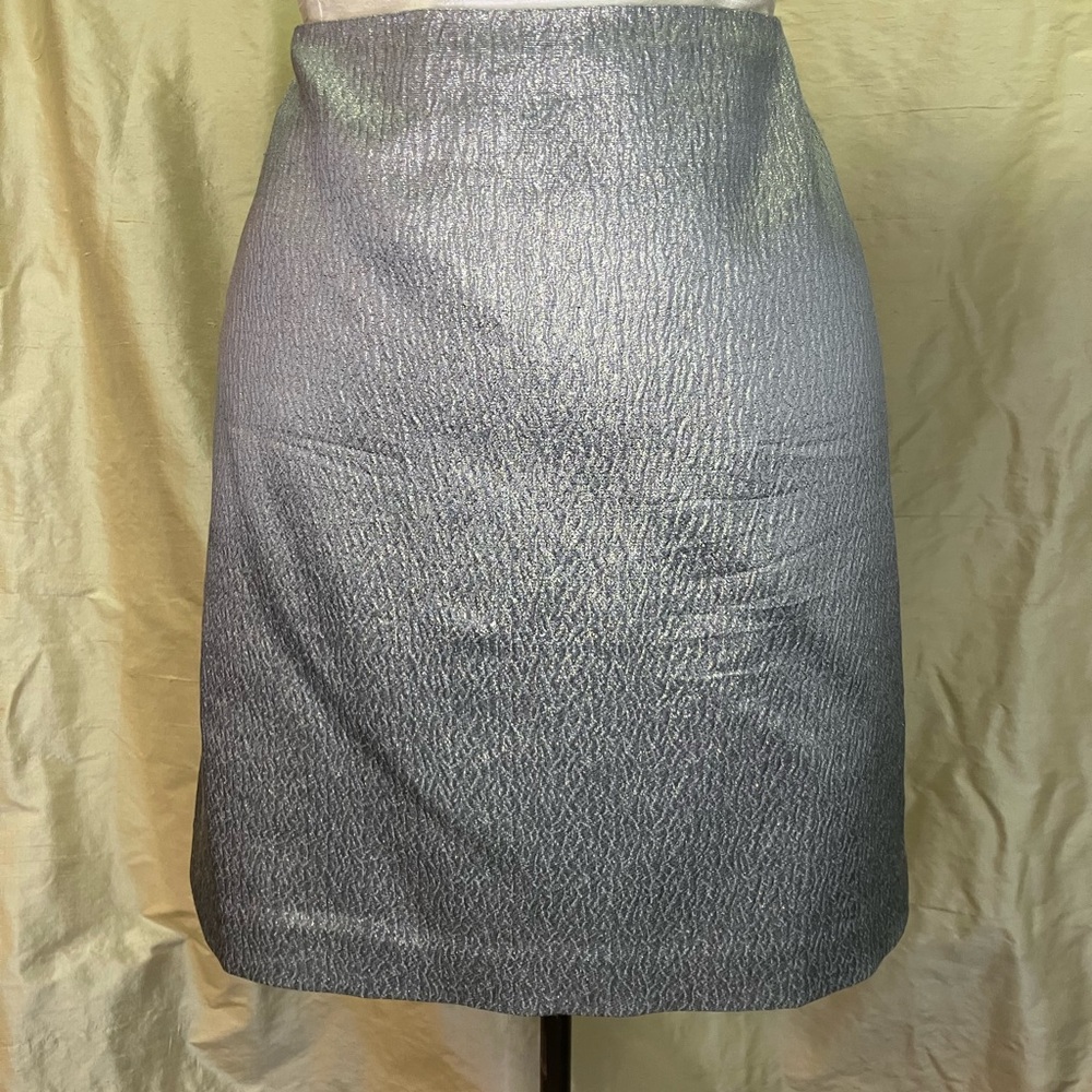 Sleek Silver Silk Ann Taylor Skirt